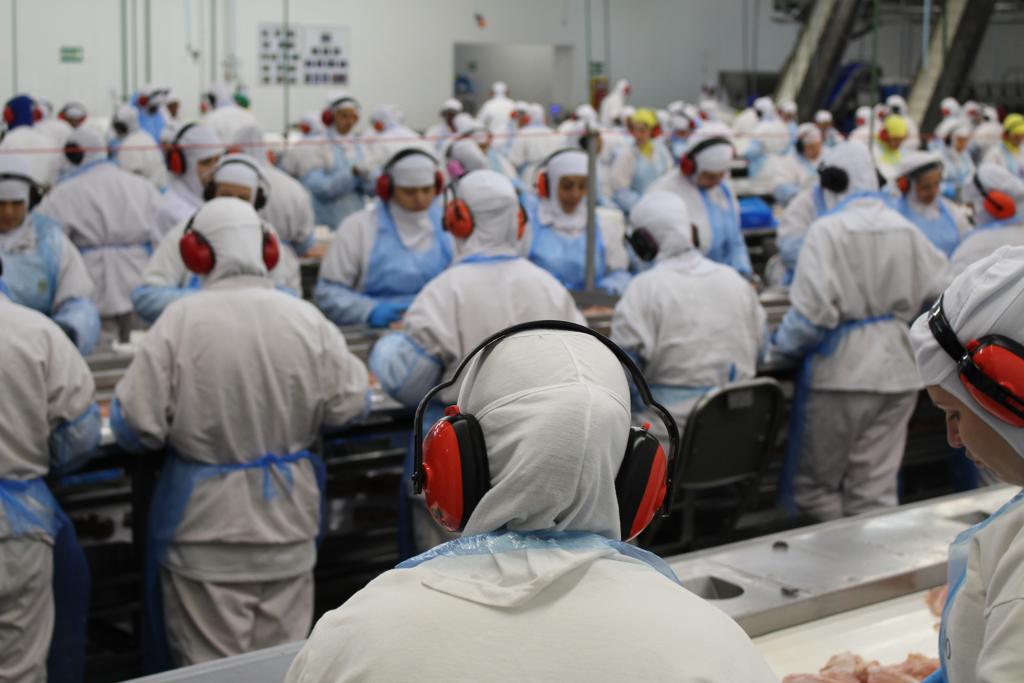 Analistas avaliam também que a indústria está sem condições de repassar a alta do custo para o consumidor, por causa da crise econômica do País. | Divulgação/MPT