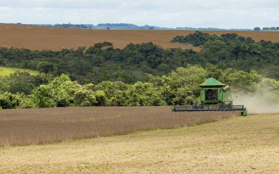 A soja sozinha responde por quase metade da produção total de grãos no Brasil. | Hugo Harada/Gazeta do Povo