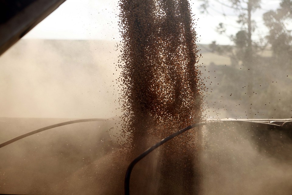 A produção da soja deve crescer 19,4% e chegar a 113,9 milhões de toneladas. | JONATHAN CAMPOS/Gazeta do Povo