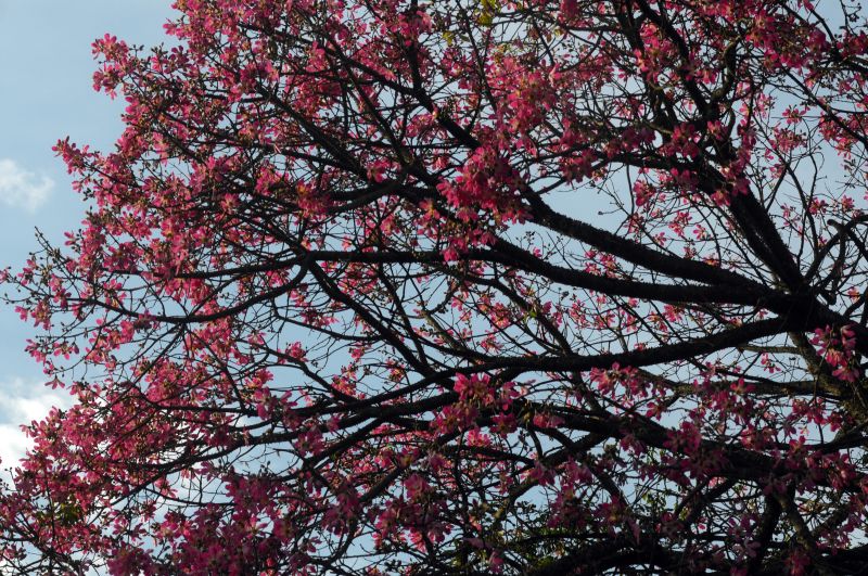 Vídeo: | TV Paranaense