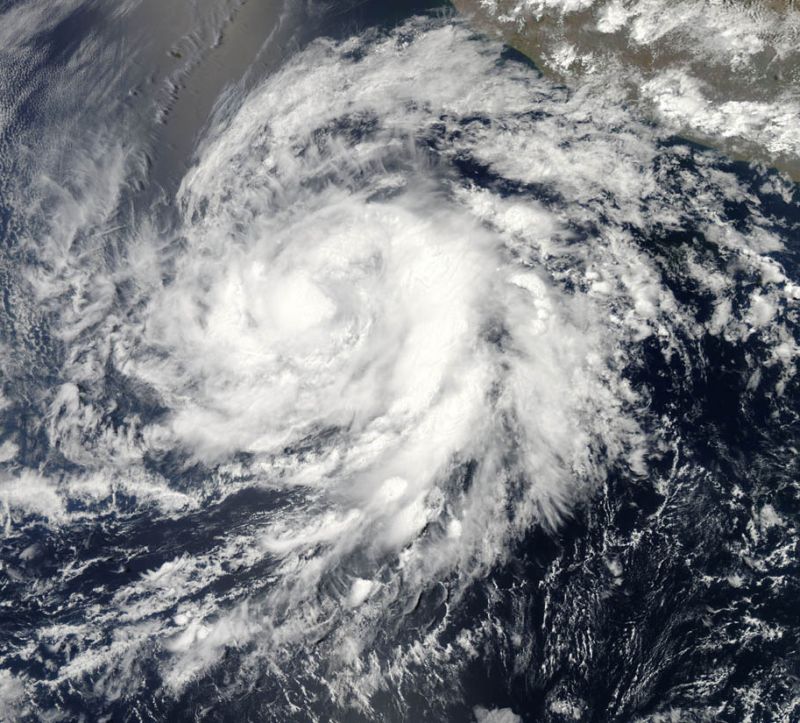 Vídeo | Reprodução/TV Globo