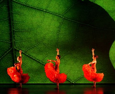 | Reprodução www.momix.com