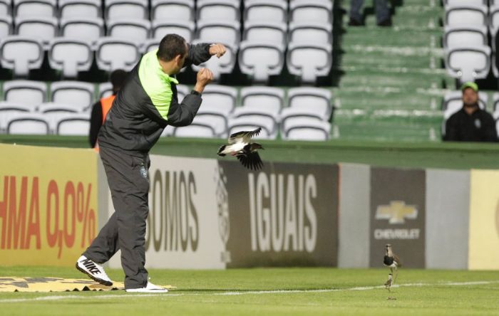 | Rerpdoução www.queroofilme.com.br