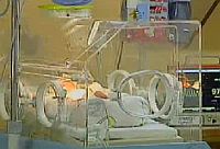 Vídeo | Reprodução RPC TV