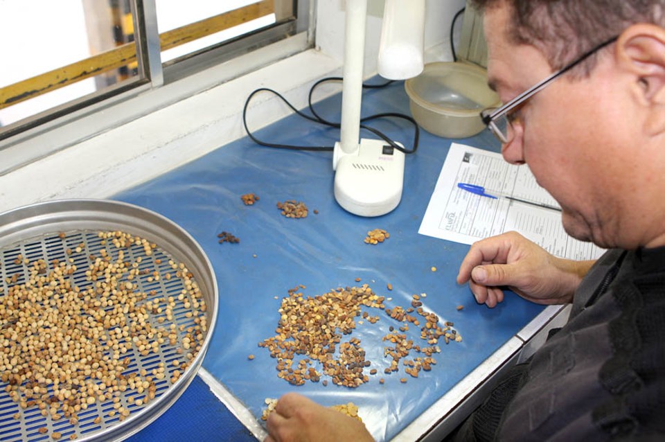 Claspar retém 53 toneladas de soja adulterada por suspeita de fraude | Rodrigo Leal