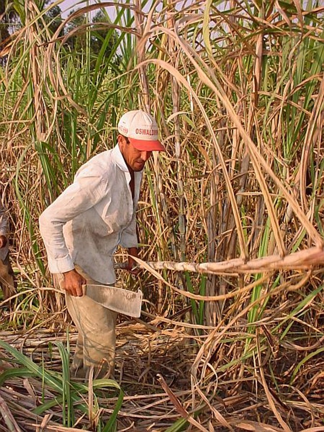 Usinas do Norte Pioneiro empregam 25 mil pessoas no campo e na indústria. | 