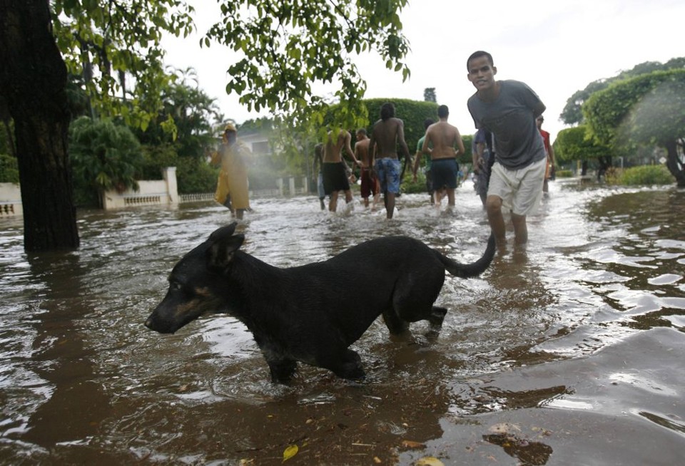 Moradores e cachorro caminho em meio as águas da enchente provocada pela passagem da tempestade Gustav em Havana | Claudia Daut / Reuters