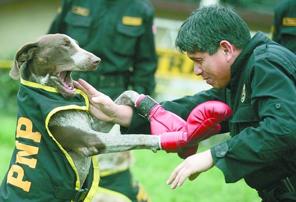 | Fotos: France Presse e Reuters