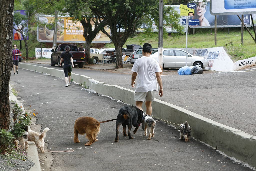 Cachorros no Zerão: lei da focinheira não pega | Gilberto Abelha/Jornal de Londrina