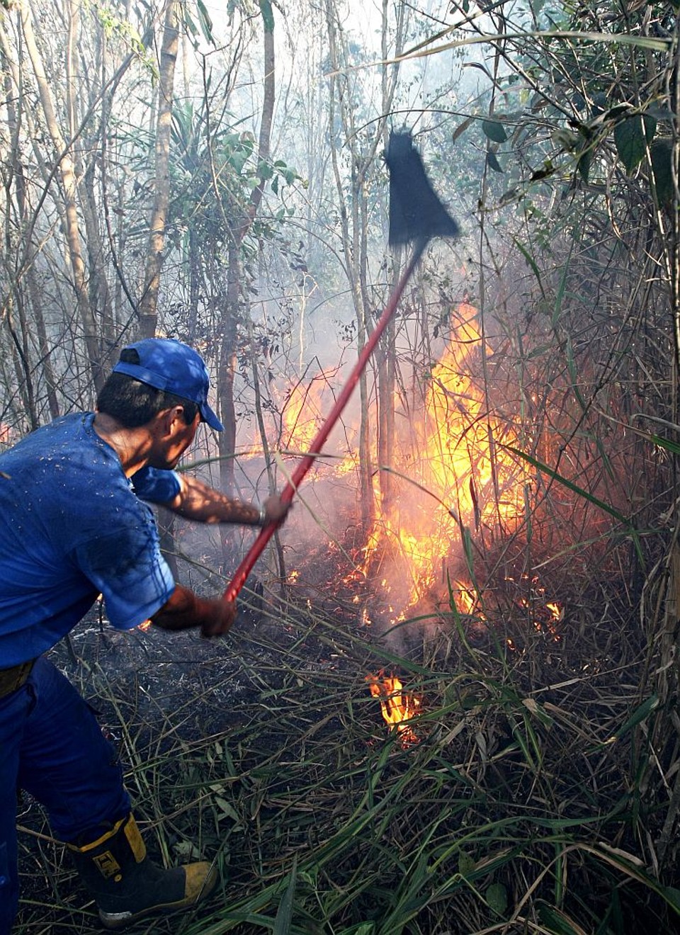 Os bombeiros trabalharam das 14 às 18h30 para combater o fogo em Colombo | Albari Rosa/Gazeta do Povo