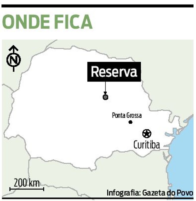 Veja onde fica Reserva |