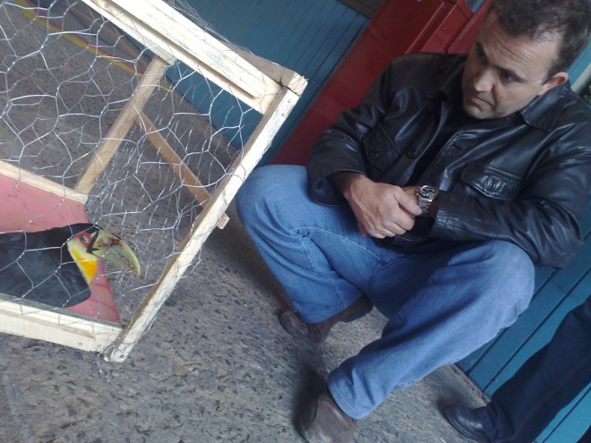 Marcelo Maynard improvisou uma gaiola para o animal silvestre |