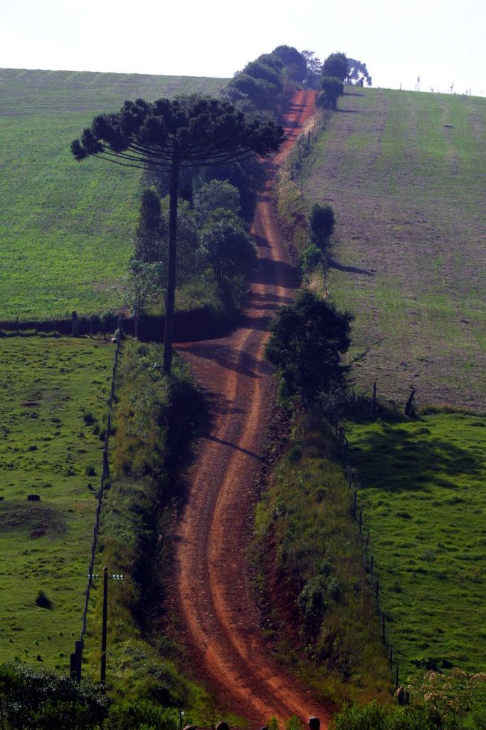 Caminho nos dias atuais está modernizado e perdeu o formato escavado | Marcelo Elias/Gazeta do Povo