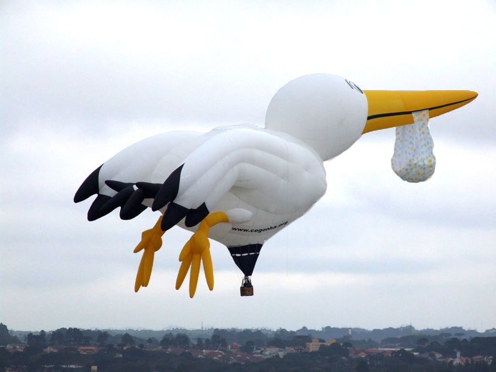 Confeccionado com 3,2 mil metros quadrados de tecido, ao custo de R$ 100 mil, balão faz primeiro vôo oficial | Snep Balonismo