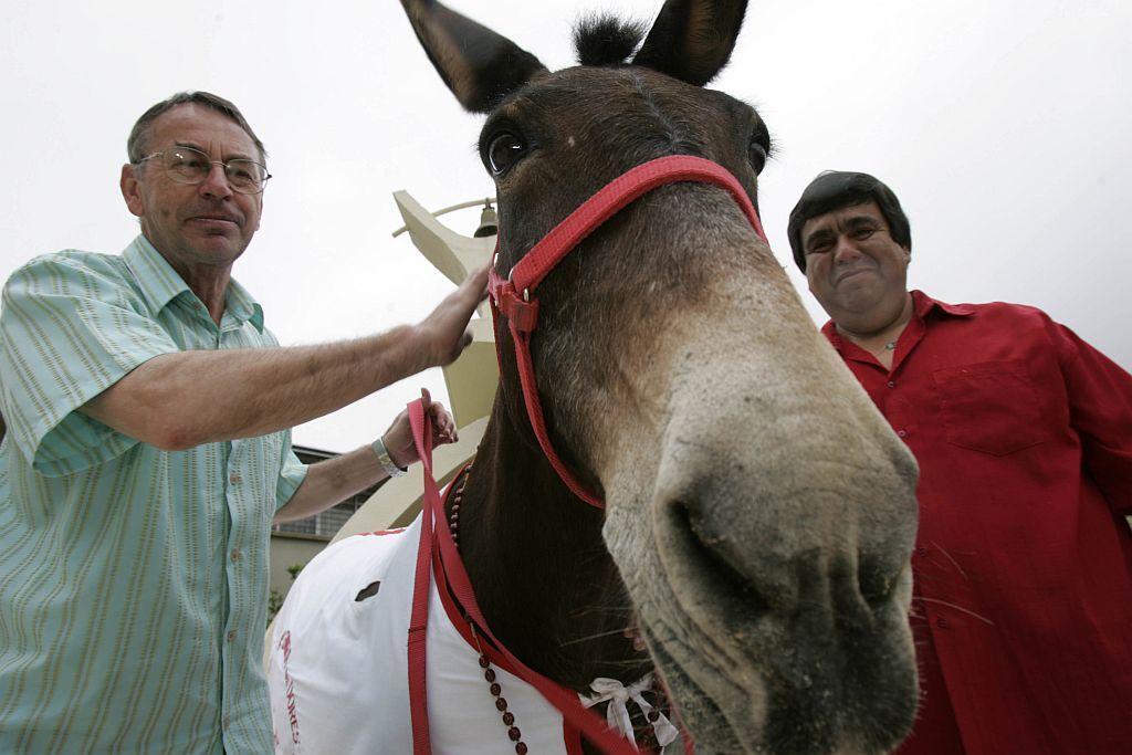 Padre Gabriel Figura com a polêmica mula: presente de aniversário | Marcelo Elias/Gazeta do Povo