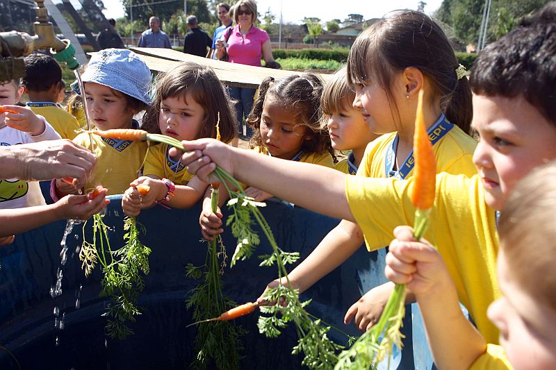 Alunos do Instituto Educacional de Pinhais (IEPI) receberam informações sobre meio ambiente e conheceram de perto a horta orgânica. Crianças de 2 a 4 anos fizeram fila para comer cenouras | Hedeson Alves/Gazeta do Povo