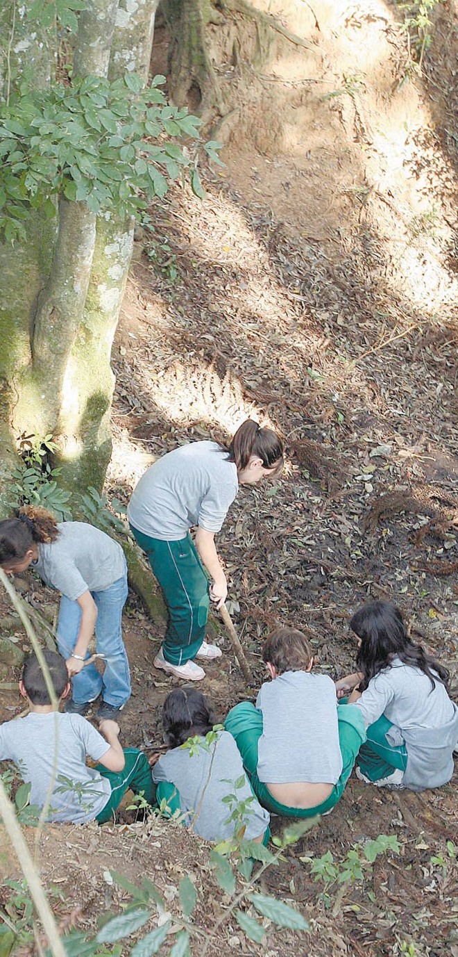 Sonho: no Jardim Saturno, bosque foi adotado como praça por crianças de escola vizinha | 
