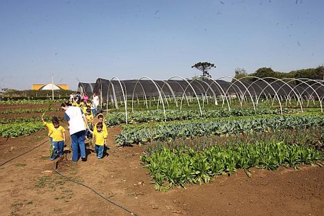 Alunos aprendem a importância da alimentação e têm oportunidade de plantar nos canteiros da horta |