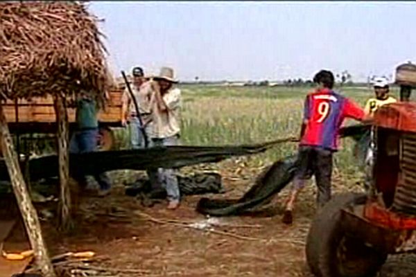  | Reprodução / Jornal Nacional