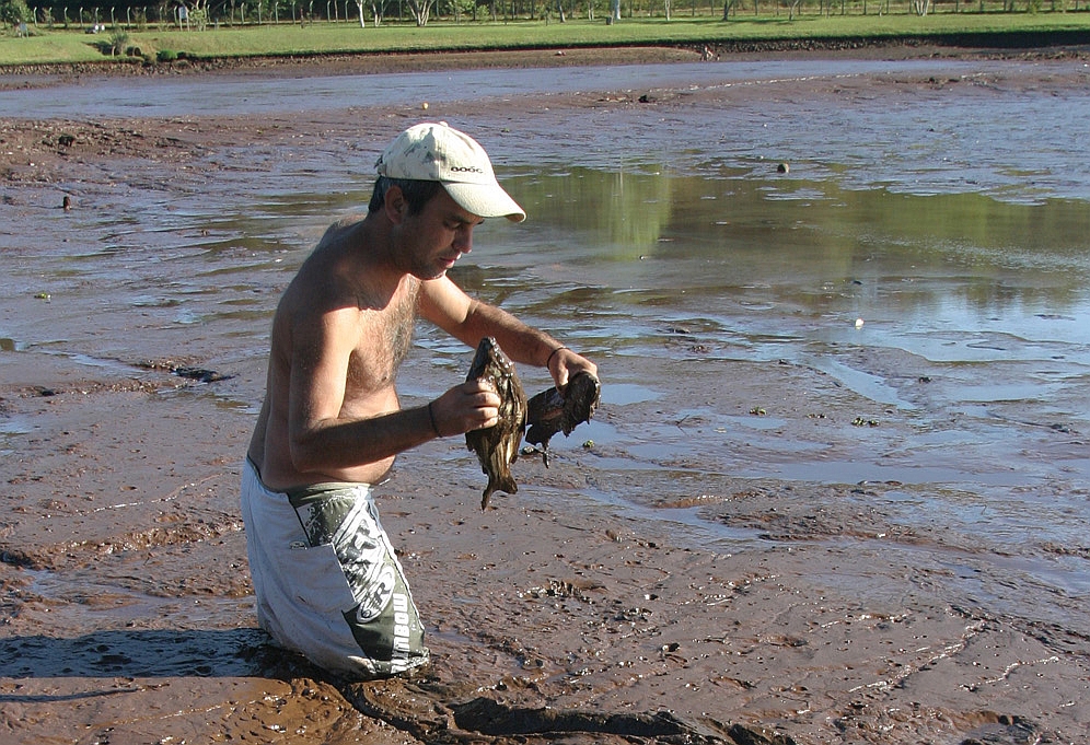 Morador aproveita para pegar peixes atolados na lama do lago | Dirceu Portugal/Gazeta do Povo