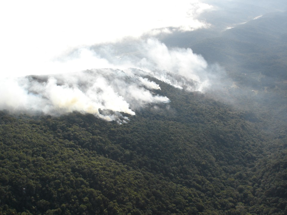 Incêndio teria atingido 20 hectares de vegetação na quinta-feira (4), segundo estimativa do Corpo de Bombeiros | Eugênio Celso Vaz de Mello/Defesa Civil do Paraná