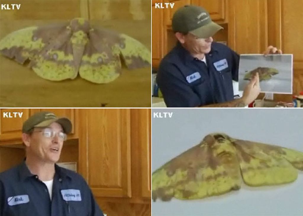 Desenho curioso com formato de Jesus chamou atenção de igreja e Harper | Reprodução/KLTV/ABC