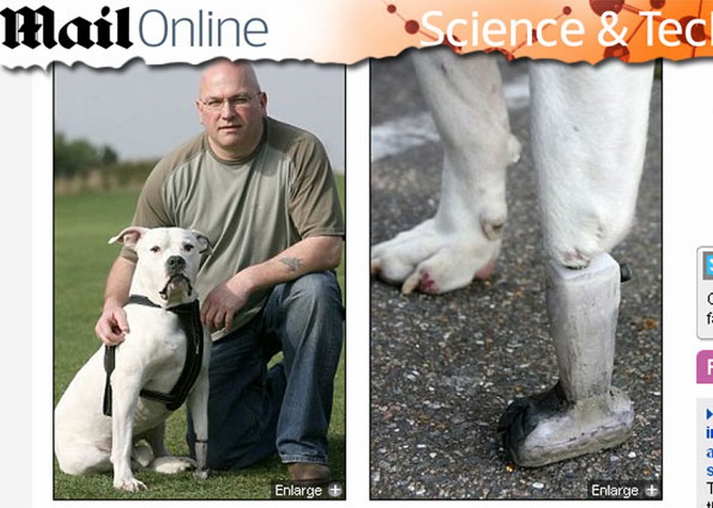 Walker posa ao lado de Coal, o segundo animal a receber a moderna prótese feita com uma liga de titânio | Reprodução/Dailymail.co.uk