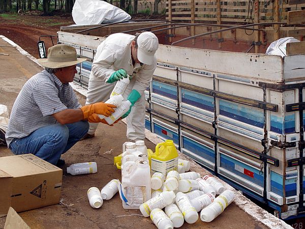 Comportamento exemplar é esperado na safra de verão, a maior do ano. | Divulgação