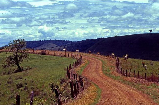 A trilha do Caminho do Peabiru | Orlando Azevedo/Divulgação