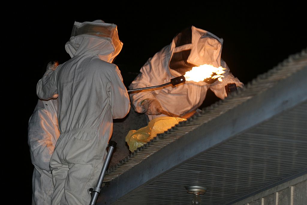 No início da noite, bombeiros queimam a colméia para exterminar os insetos | Henry Milleu/Gazeta do Povo
