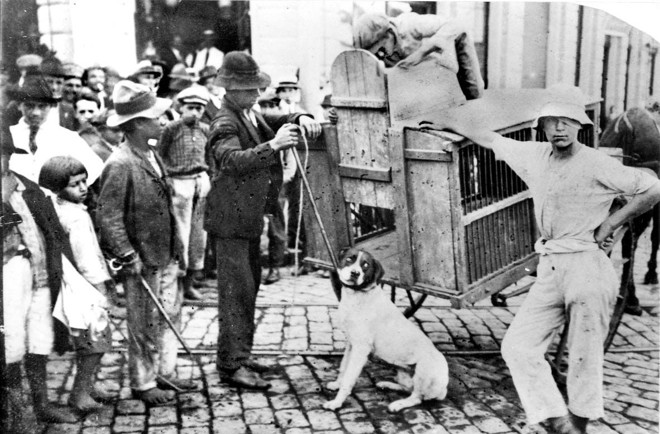 Jovens contratados pela prefeitura para captura de cães vadios, na década de 1930 | 