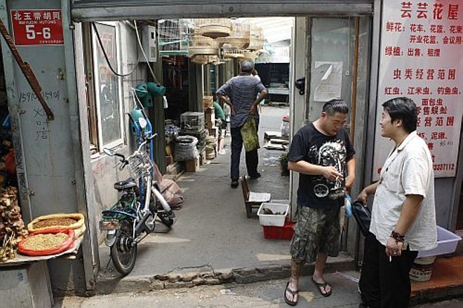 Os chamados Hutongs, pequenas vielas, são os locais de moradia dos chineses |