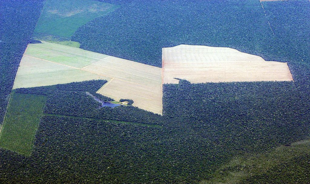 Em setembro, 587 km2 da Amazônia foram desmatados. Apesar da queda, Mincconsidera número inadmissível | Paulo Whitaker/Reuters