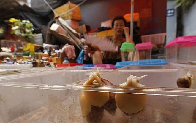 Chinesa recebe bem os brasileiros em sua casa |