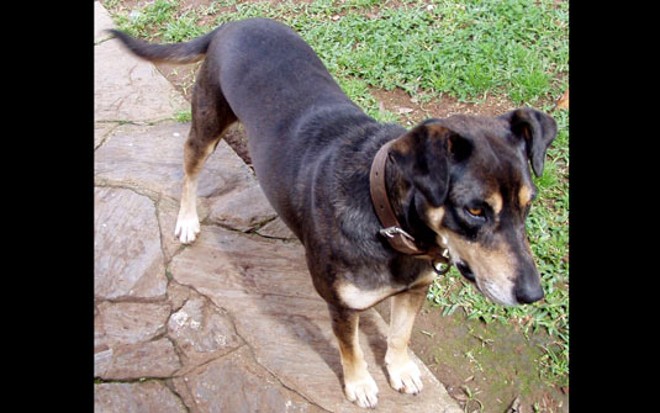 Dolly morava no comitê eleitoral do candidato, que será desativado | 