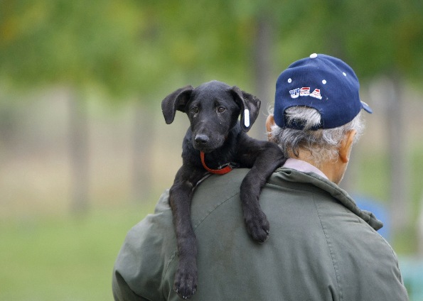 Homem deixa a feira depois de adotar um vira-lata | Reuters