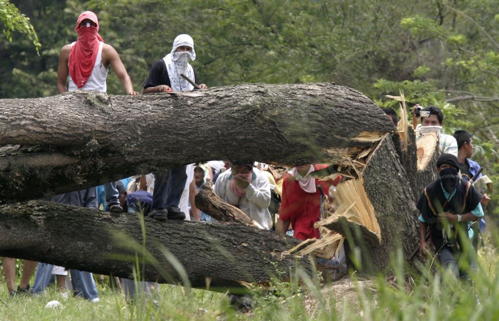 Indígenas bloquearam parte da Via Panamericana com a derrubada de uma árvore | Jaime Saldarriaga / Reuters
