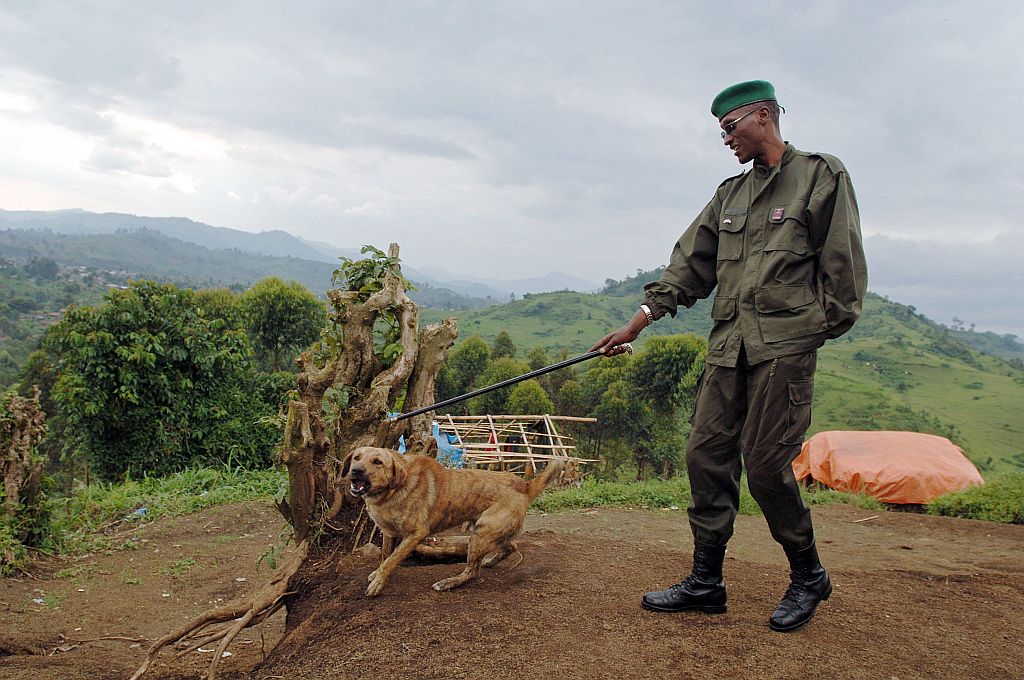 Imagem mostra o general insurgente Nkunda, atentando um cachorro em sua base na montanha em Kachanga, em outubro de 2007 | Lionel Healing / AFP Photo