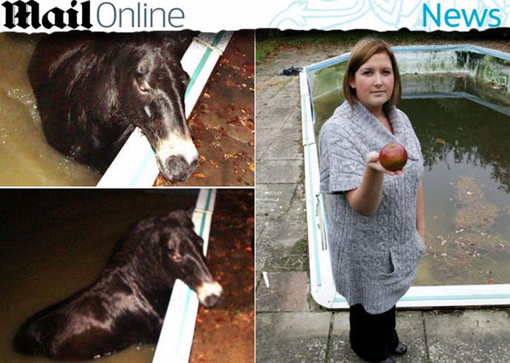 O pônei Fat Boy, preso na piscina, e sua dona, Sarah Penhaligon, com a prova do crime | Reprodução/Daily Mail