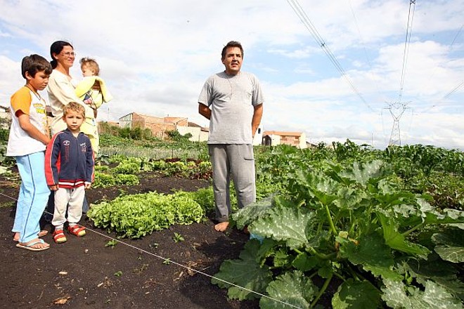 O caminhoneiro Hélio Barbosa e sua família, na horta comunitária do Vitória Régia, na CIC: a hora do vizinho é mais bonita | 