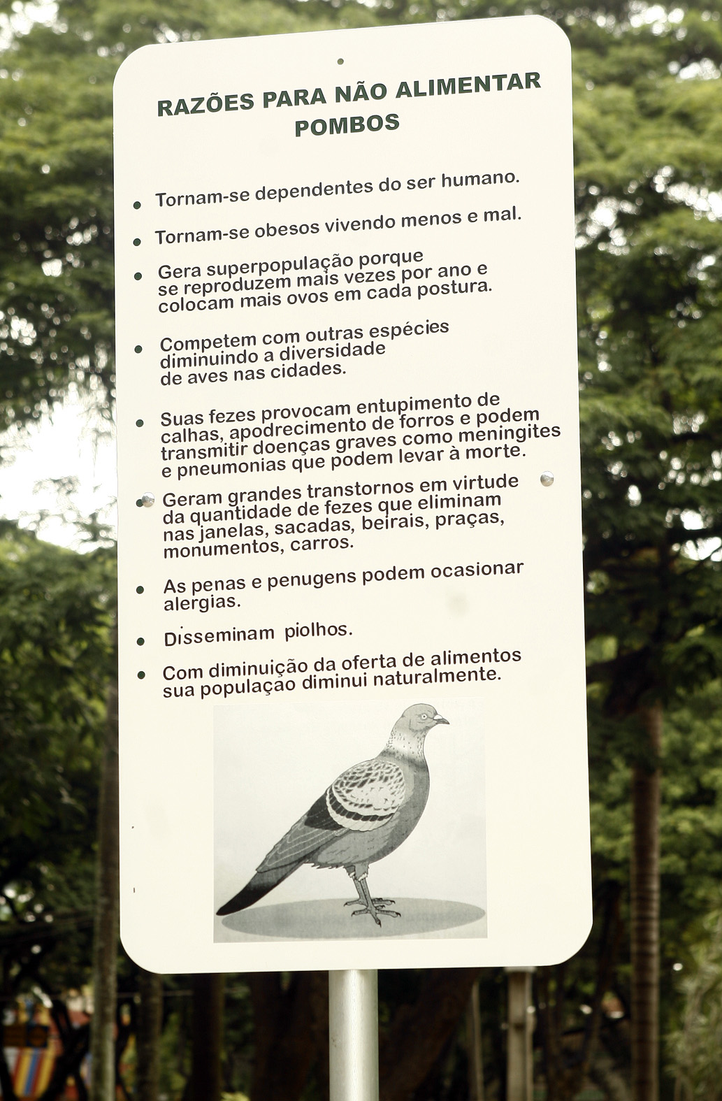 Placas instaladas no fim de semana explicam motivos da campanha | André Renato/Prefeitura Municipal de Maringá