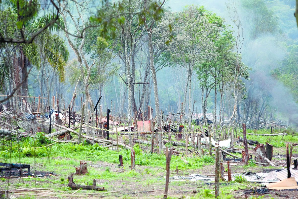 As ocupações se tornaram um problema socioambiental que não diz respeito apenas a quem vive nelas. A maioria está em Áreas de Preservação Permanente | Jonathan Campos/Gazeta do Povo