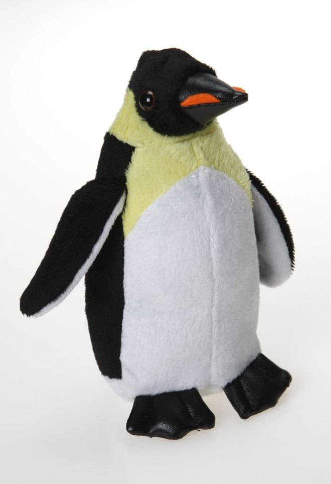 Pingüim: em extinção | 