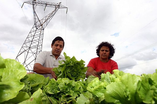 Orlando e Antônia Barreto na horta comunitária do Rio Bonito: uma plaquinha com o nome dela bem grande | 
