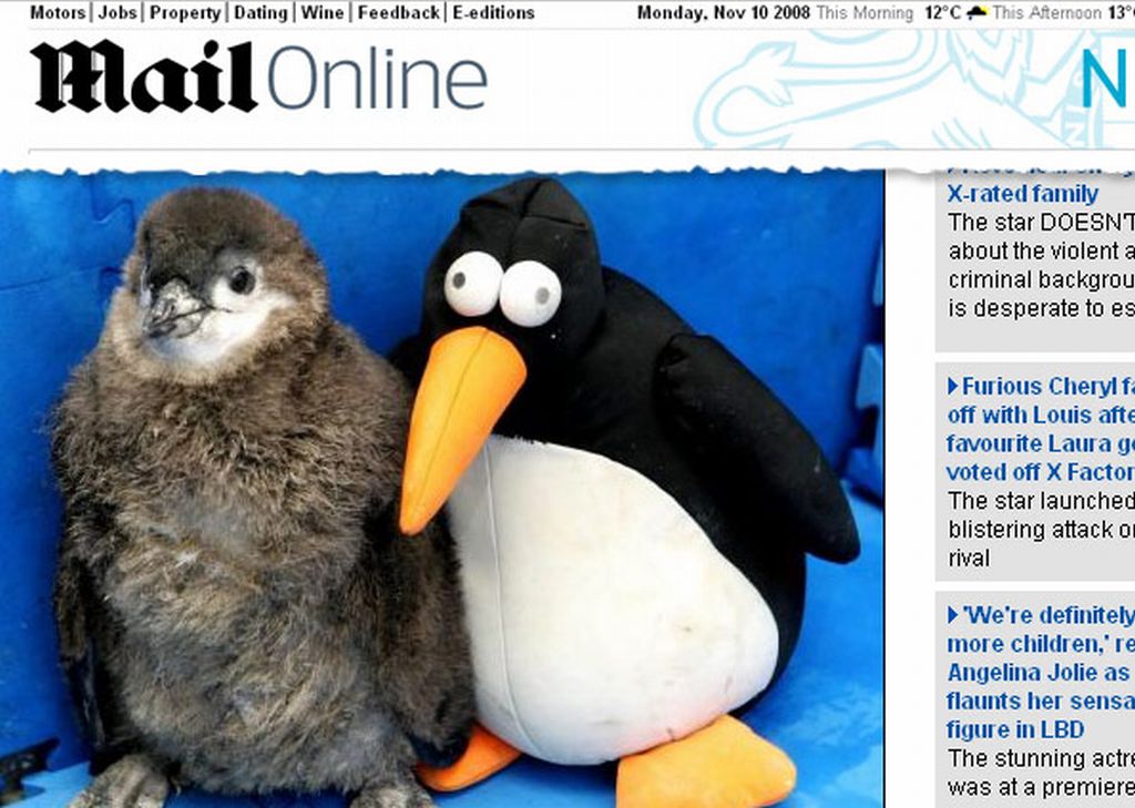Pingu não se separa do pingüim de pelúcia, comprado na loja de souvenir do zôo | Reprodução / Daily Mail
