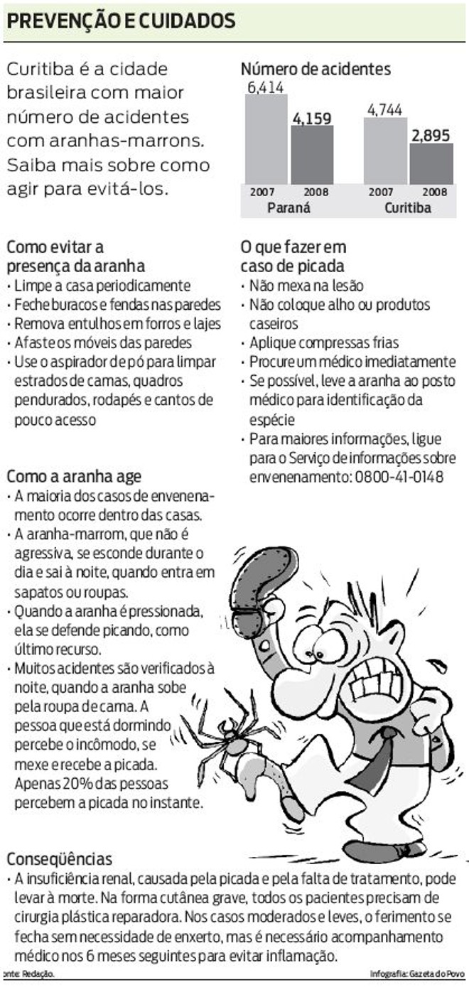 Saiba mais sobre como agir para evitar acidentes com aranhas-marrons |