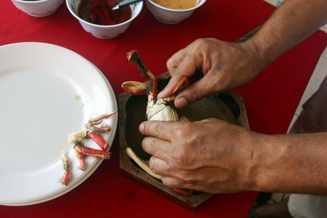 Comece pelas patas menores. Basta quebrá-las nas juntas que a carne aparece. Não se preocupe com a aparente falta de classe, pois caranguejo se come com as mãos. Molhe a carne no vinagrete antes de comer | 