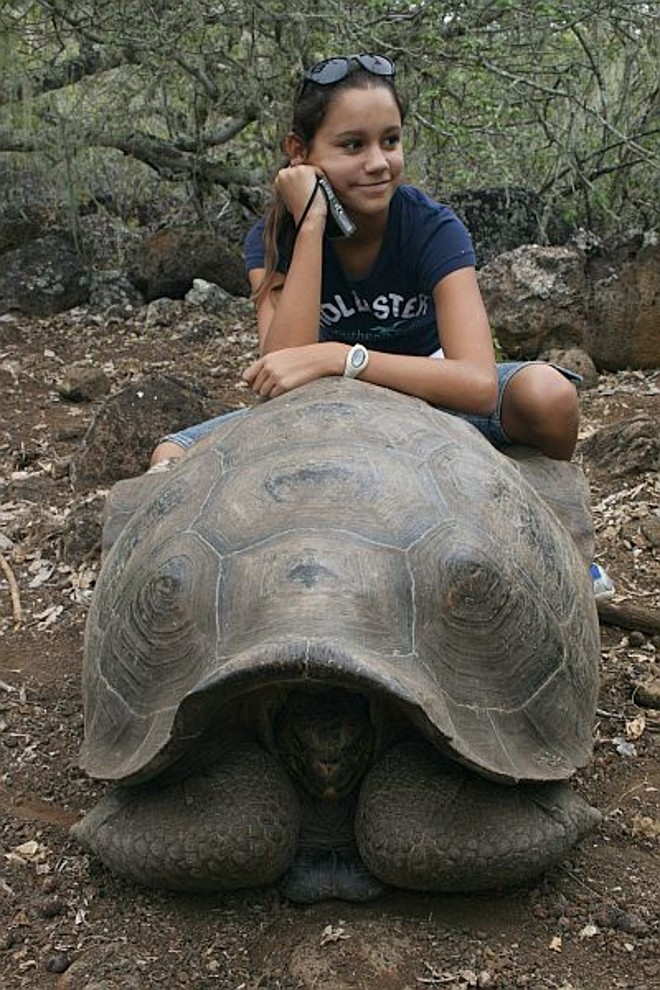Giovana com uma tartaruga de Galápagos |