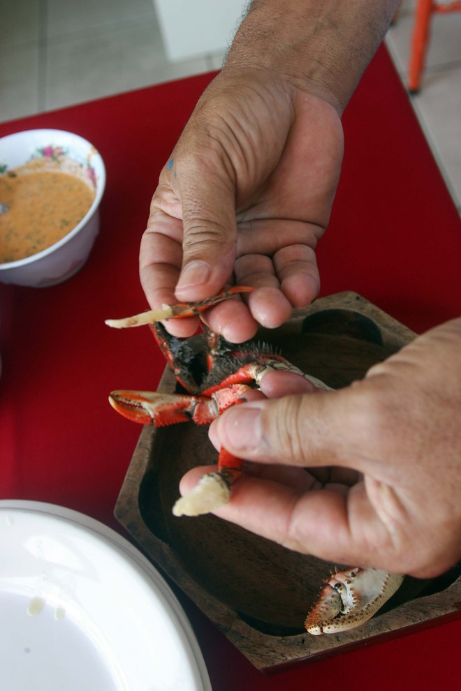 Passe agora para as patas maiores, com mais carne. Bata devagar com o martelhinho até rachá-las e encontrar a carne | 