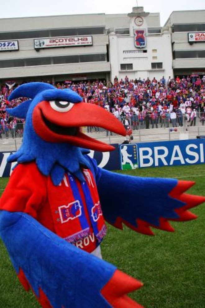 Gralha, mascote do Paraná, ganhou 